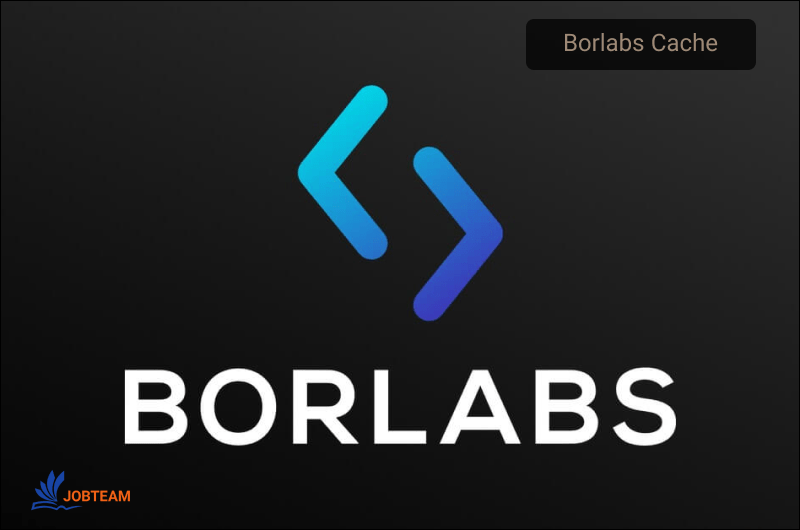 افزونه Borlabs Cache افزونه Borlabs Cache